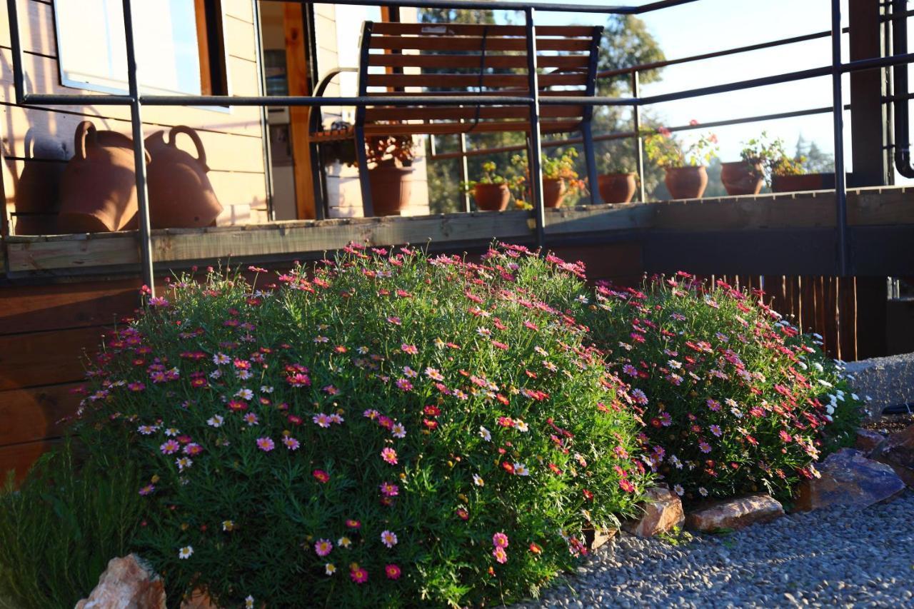 Cabanas Y Spa Costa Patagonia - Piscina Climatizada Pichilemu Eksteriør billede